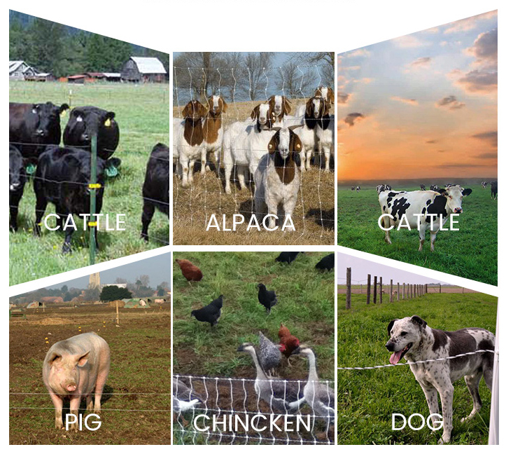 application of electric fence